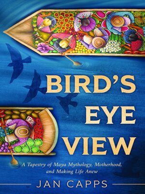cover image of Bird's Eye View